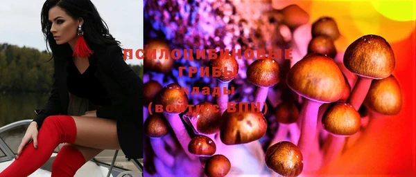 PSILOCYBIN Алзамай