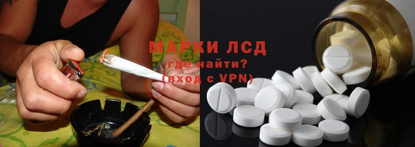 PSILOCYBIN Алзамай