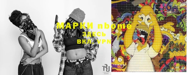 PSILOCYBIN Алзамай