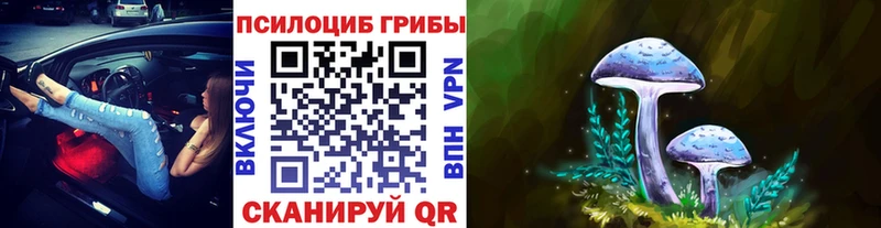 Псилоцибиновые грибы Magic Shrooms  Крым 
